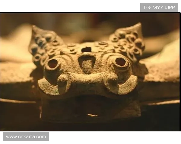 龙虎竞技：动物园中龙虎的互动行为及其生态学研究成果