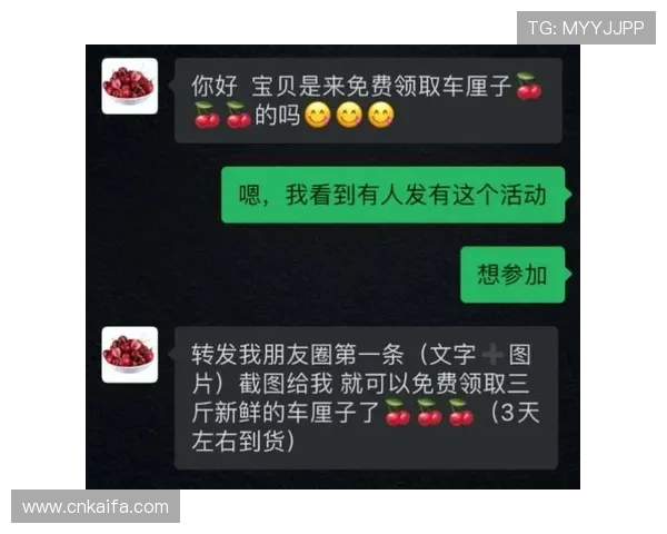 凯发一触即发官网：如何利用平台提升您的投注成功率