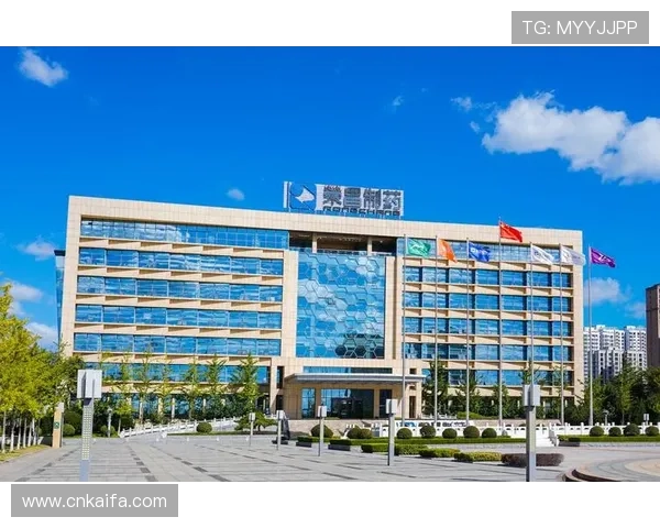 K8凯发正规网址的客户服务体系，全天候为玩家提供专业支持